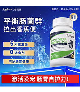肠胃宝益生菌片